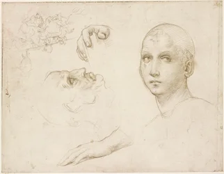 Études pour la Trinité de San Severo et croquis après Léonard de Vinci